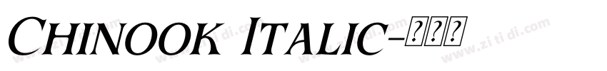 Chinook Italic字体转换 Chinook Italic字体转换